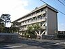 周辺：水戸第五中学校まで1ｋｍ