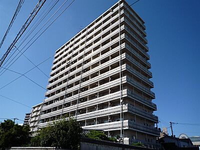 外観 外観