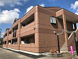 ピア・ウィッシュ