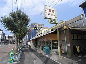 カイモリハウス 202 ｜ 京都府京都市左京区下鴨梅ノ木町1-1（賃貸マンション1K・2階・20.67㎡） その15