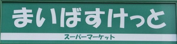 スカイコート後楽園EAST 1203号室｜東京都文京区小石川４丁目(賃貸マンション1K・12階・19.97㎡)の写真 その25