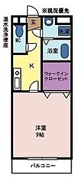 キャセロ・セントロ2 1Kの間取図画像