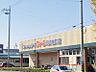 周辺：フィール岡崎柱町店　徒歩約11分（約817m）