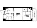 アルファコンフォート札幌5階6.0万円