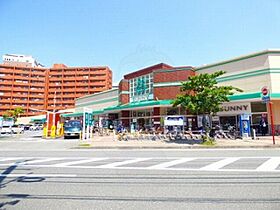 エンクレスト日赤通り  ｜ 福岡県福岡市南区大楠１丁目（賃貸マンション2K・9階・38.76㎡） その20