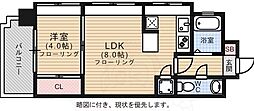 エステートモア薬院ネスト 7階/-