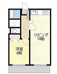 オヌキ新博多ビル 10階/-
