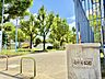 周辺：南中本公園　マンションの南側道路の向かい