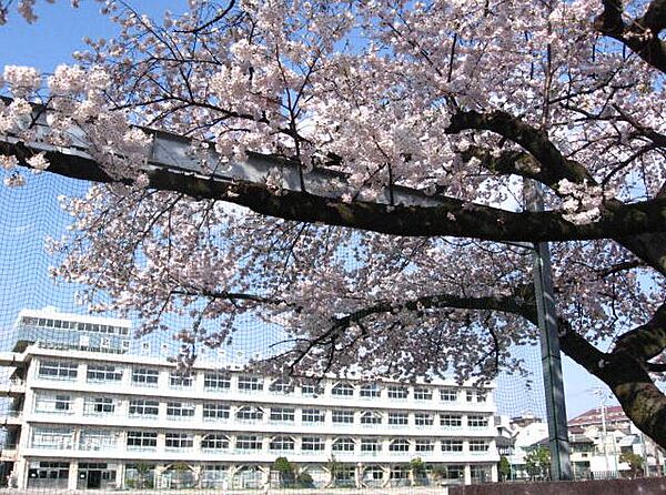 画像9:【中学校】武蔵野市立 第一中学校まで904ｍ
