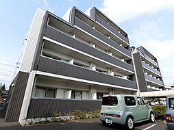 パインリーフ