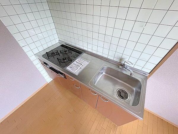 グリーンウェル 302｜滋賀県栗東市綣６丁目(賃貸マンション2LDK・3階・59.00㎡)の写真 その8