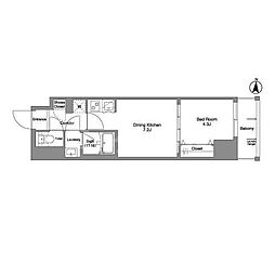 Daffitto錦糸町 1DKの間取図画像