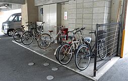 13 / 15