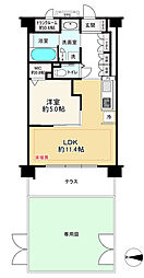 デュオセーヌ国立