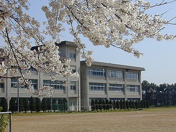 画像19:福知山市立桃映中学校（342m）