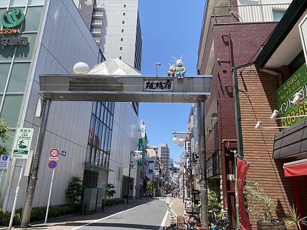 画像26:【その他】板橋宿不動通り商店街まで500ｍ