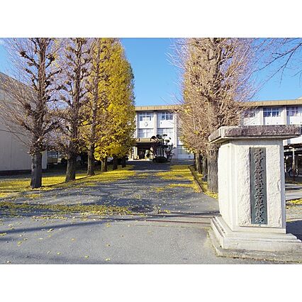 岩見ハイツ上島_周辺_1