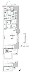 DIPS小竹向原 1Kの間取図画像