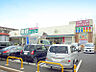 周辺：業務スーパー相武台店
