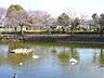 周辺：鹿沼公園