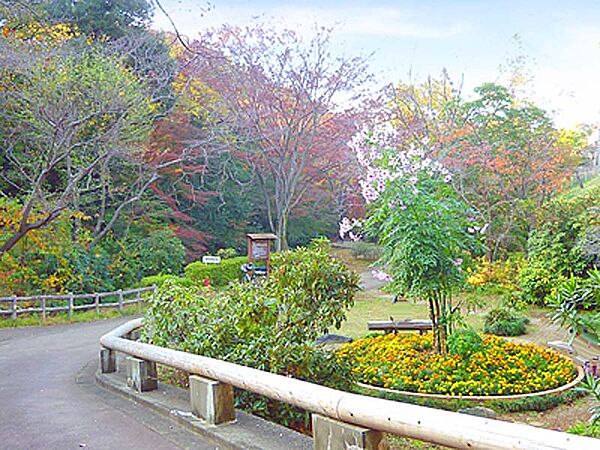 周辺を拡大表示