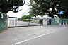 周辺：大和市立緑野小学校141m