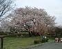 周辺：大谷近隣公園2135m