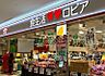 周辺：【ロピア　ららぽーと海老名】　ファッションの他に飲食店やスーパーもあるので、便利です。車でも電車でもアクセスが良いので楽チンです。