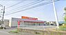 周辺：【ツルハドラッグ　磯部店】　手頃な価格で日用品や、整髪料などの化粧品も買えるので、地元の人に愛されるお店です。店内は明るいです。