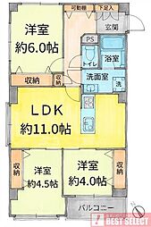 ハイネス小石川