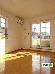 アプリコット 202