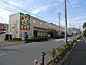 周辺：ライフ 中野新井店（505m）