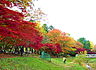 周辺：都立野川公園入口（1056m）