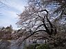 周辺：都立井の頭公園（井の頭公園駅口）（1995m）