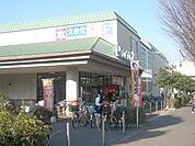 ピーコック（214m）