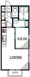 ライトガーデン3 1LDKの間取図画像