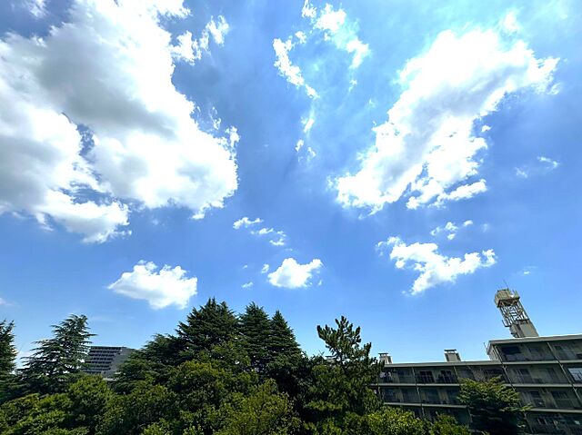 その他 サンシティJ棟 8階/-