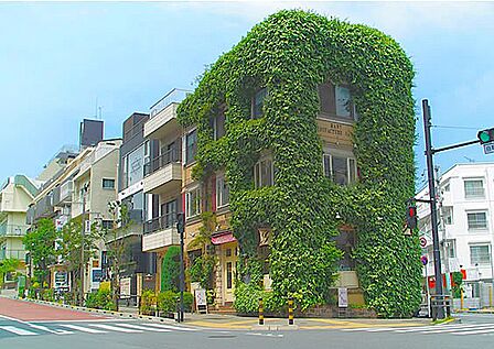 松涛文化村ストリート