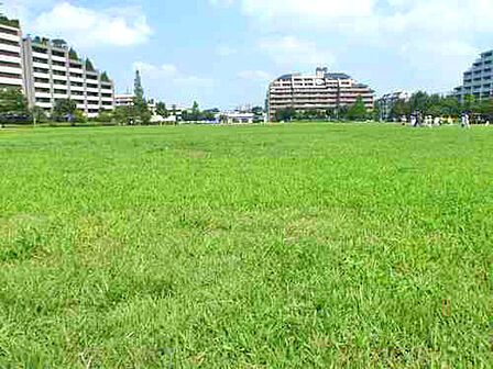 桃井原っぱ公園
