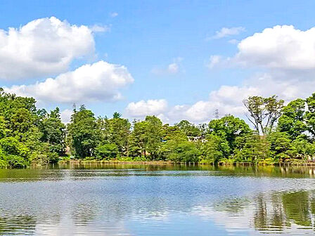 善福寺公園
