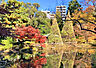周辺：新宿区立甘泉園公園