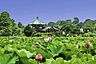 その他：上野恩賜公園