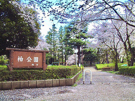 柏公園