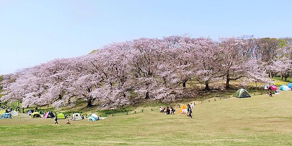 その他を拡大表示