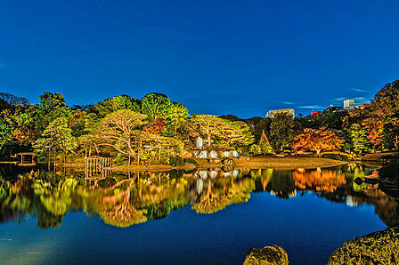 六義園 夏(駒込)