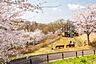 その他：都立桜ヶ丘公園
