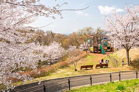 都立桜ヶ丘公園