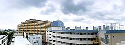 ライオンズマンション駒沢
