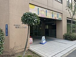 【その他】中央区立晴海こども園まで217ｍ