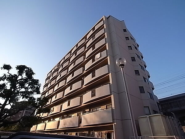 兵庫県尼崎市南清水(賃貸マンション2LDK・3階・56.00㎡)の写真 その1